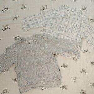 Zara White and Blue Button Down Shirt
